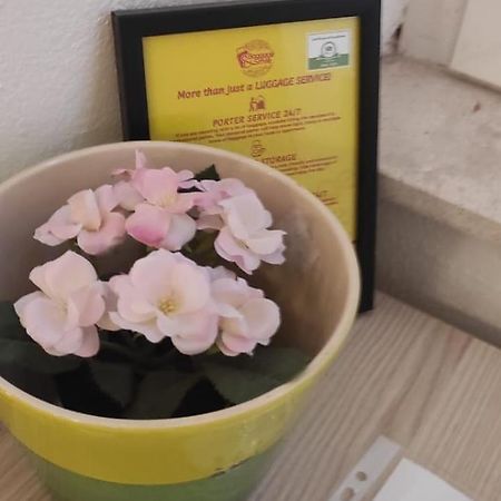 Simply Dubrovnik Nikole Bozidarevica 2 A B C D Lejlighed Eksteriør billede